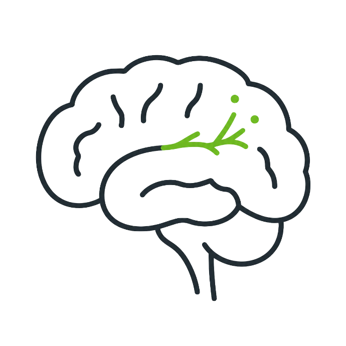 rééducation neurologique